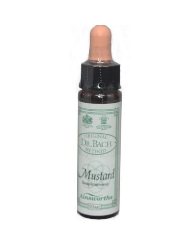 DR BACH MUSTARD ΑΝΘΟΙΑΜΑ ΑΠΟ ΤΗΝ AINSWORTHS 10ml