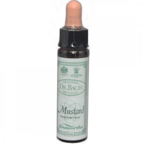 DR BACH MUSTARD ΑΝΘΟΙΑΜΑ ΑΠΟ ΤΗΝ AINSWORTHS 10ml