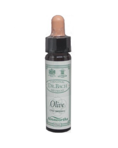 DR BACH OLIVE ΑΝΘΟΙΑΜΑ ΑΠΟ ΤΗΝ AINSWORTHS 10ml