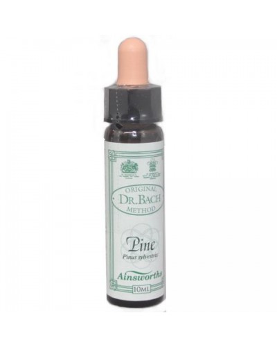 DR BACH PINE ΑΝΘΟΙΑΜΑ ΑΠΟ ΤΗΝ AINSWORTHS 10ml