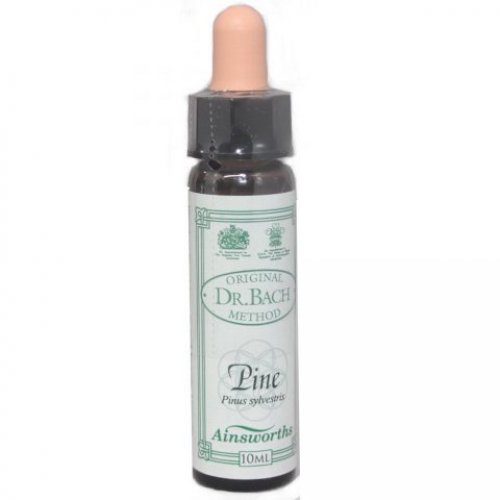 DR BACH PINE ΑΝΘΟΙΑΜΑ ΑΠΟ ΤΗΝ AINSWORTHS 10ml