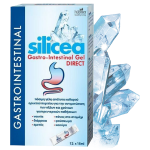 HUBNER SILICEA GASTRO-INTESTINAL GEL DIRECT 15 φακελίσκοι x 15ml