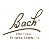 POWER BACH