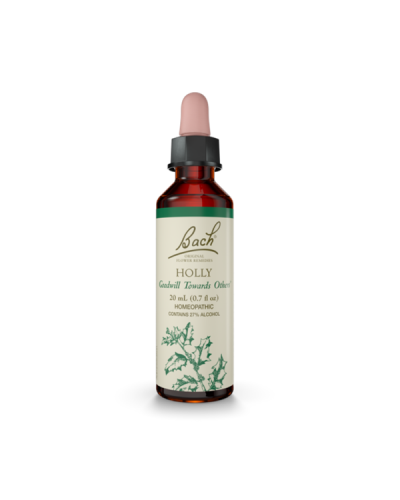 POWER BACH HOLLY No15 20ML