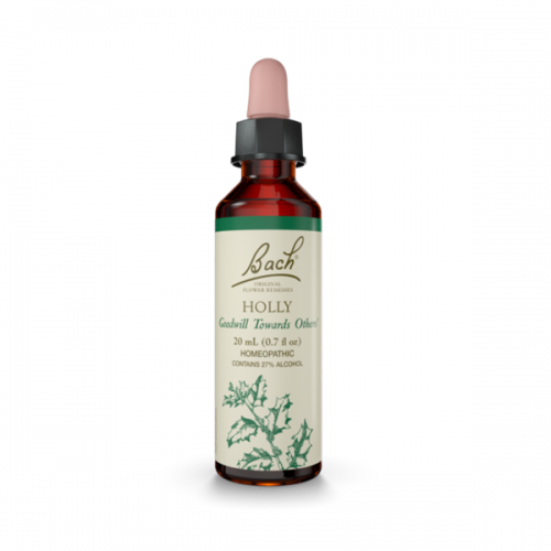 POWER BACH HOLLY No15 20ML