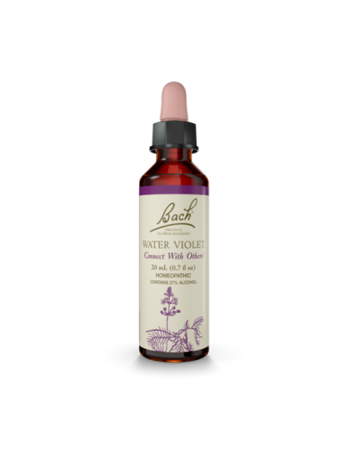 POWER HEALTH DR.BACH WATER VIOLET 20ML