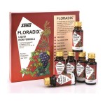 FLORADIX LIQUID IRON FORMULA 10X20ML