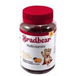 BRADEX BRADBEAR MULTIVITAMINS ΣΥΜΠΛΗΡΩΜΑ ΔΙΑΤΡΟΦΗΣ ΜΕ ΒΙΤΑΜΙΝΕΣ, ΨΕΥΔΑΡΓΥΡΟΣ & ΣΕΛΗΝΙΟ 60 ΖΕΛΕΔΑΚΙΑ